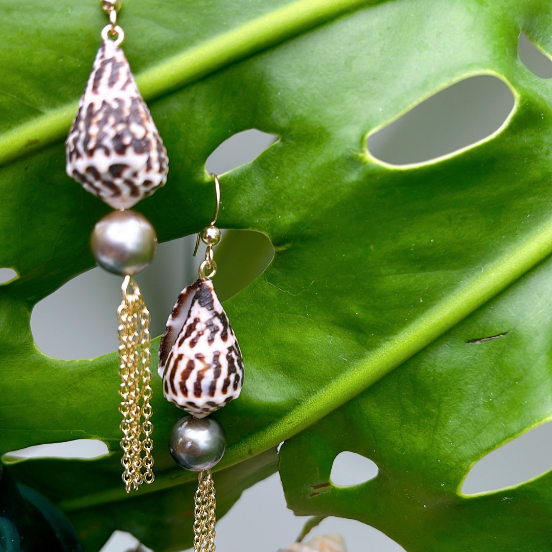 Hebrew Shells on 14K Gold Filled Fish Hook Ear Wires Adorned on Tahiti –  Manawale'a Creations