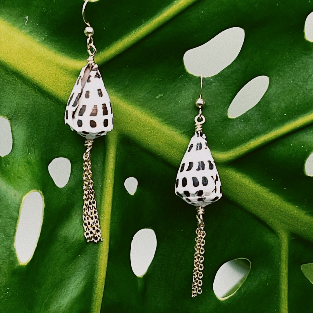 Hebrew Shells on Fish Hook Ear Wires with Dangling Chain Tassels - 14K Gold Filled or .925 Sterling Silver