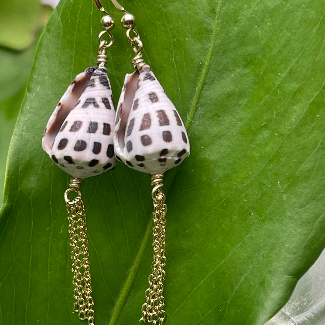 Hebrew Shells on Fish Hook Ear Wires with Dangling Chain Tassels - 14K Gold Filled or .925 Sterling Silver