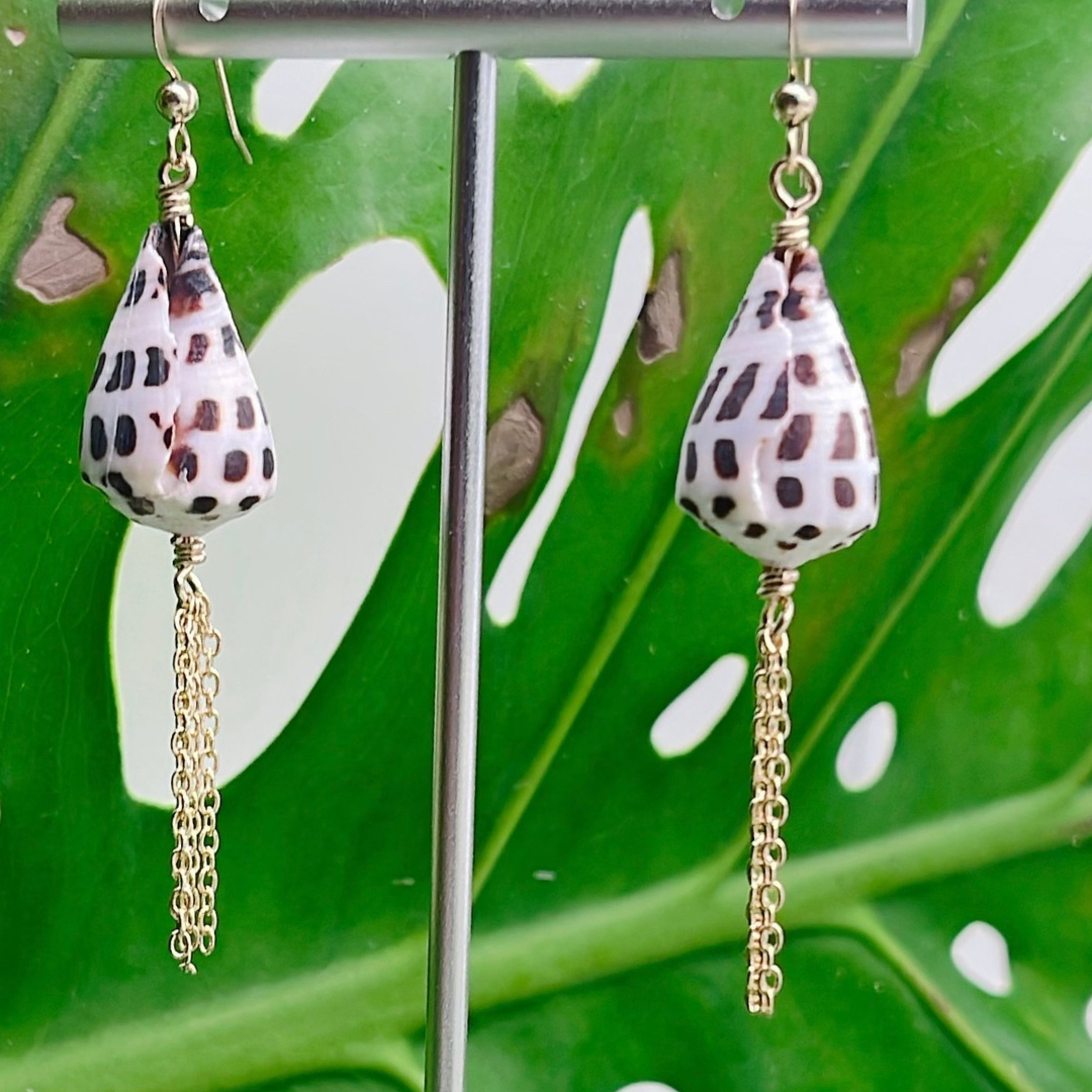 Hebrew Shells on Fish Hook Ear Wires with Dangling Chain Tassels - 14K Gold Filled or .925 Sterling Silver