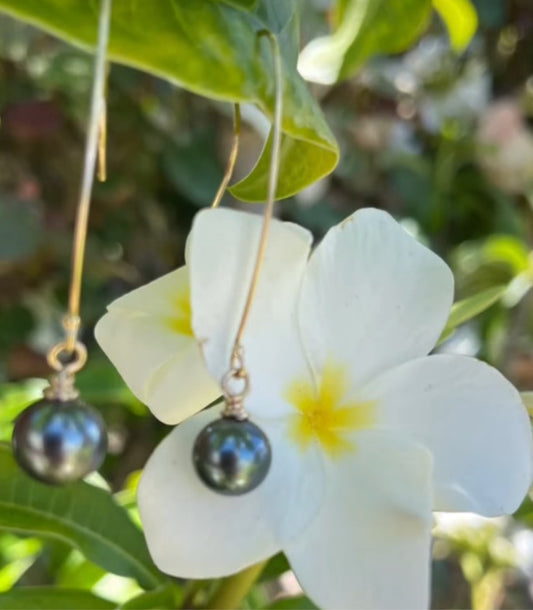 Elongated drop Tahitian Pearl Earrings